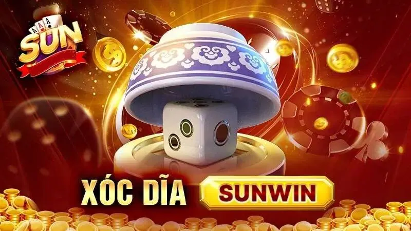 Hướng dẫn Rr88 - Kiểm tra tài khoản và điều kiện giao dịch