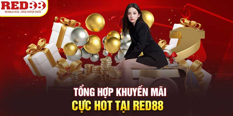 Hình minh họa — Rr88