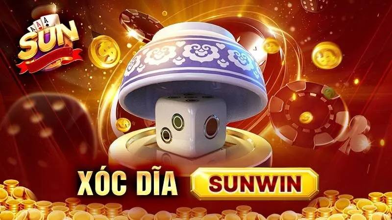 Hình minh họa — Rr88